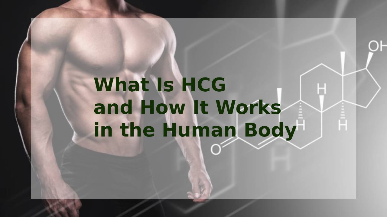 What Is HCG and How It Works in the Human Body