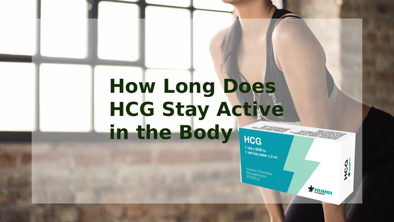 How Long Does HCG Stay Active in the Body